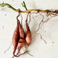 Sweet Potato (Ipomoea batatas)